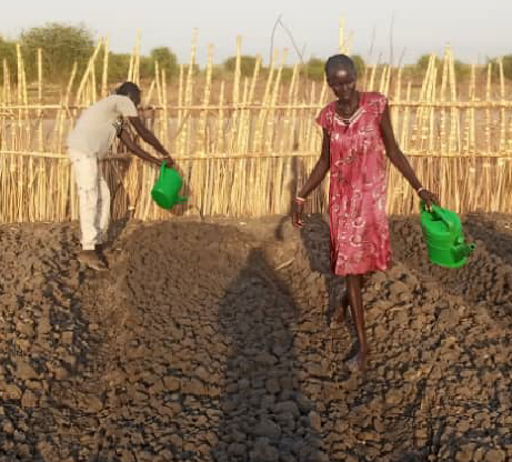 Food Security and Livelihood (FSL